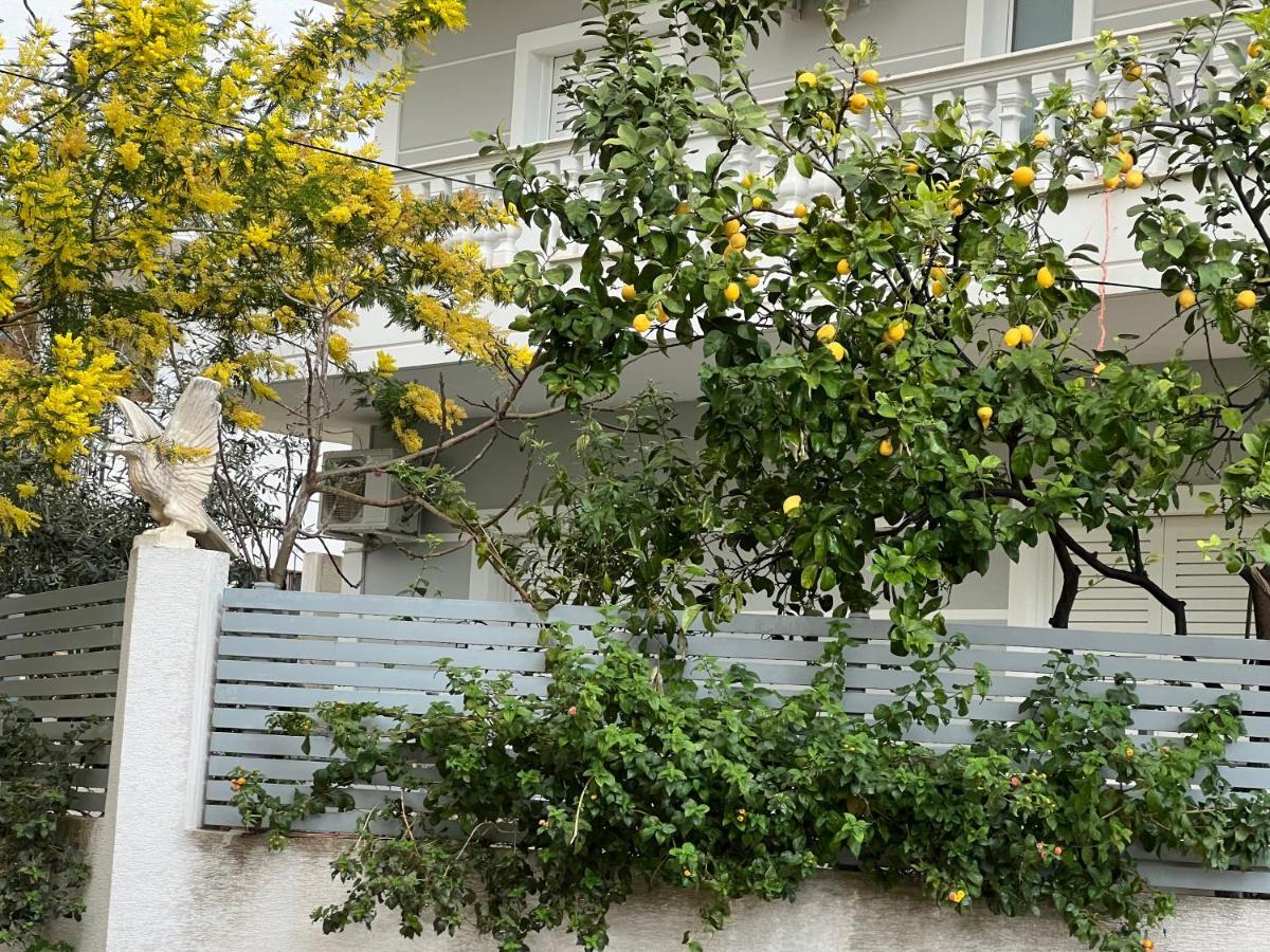 Apartments & Studios Ardian-Mandi Sarande-Albania Kültér fotó